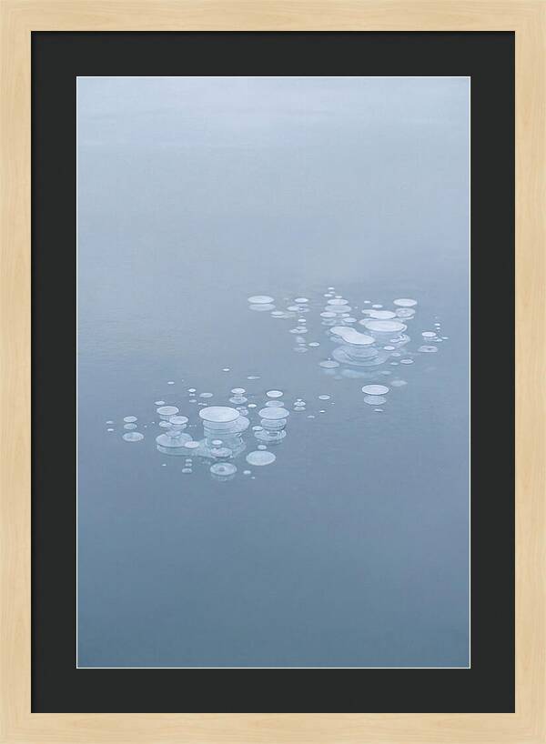 Frozen Bubbles Beneath Ice
