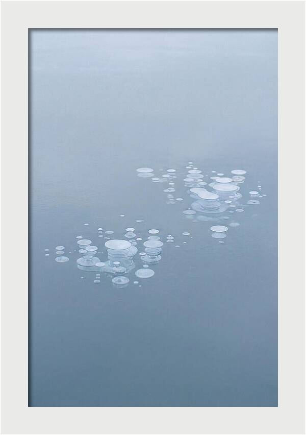 Frozen Bubbles Beneath Ice