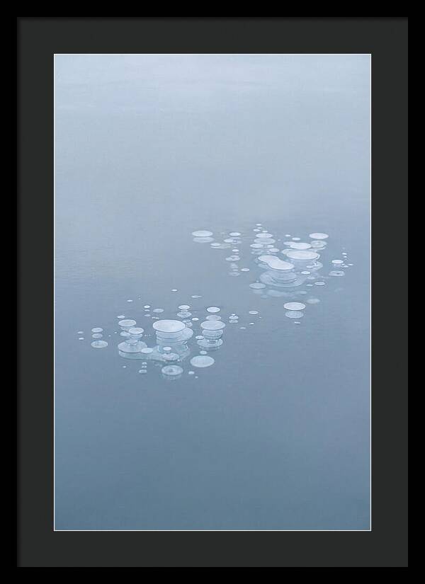 Frozen Bubbles Beneath Ice