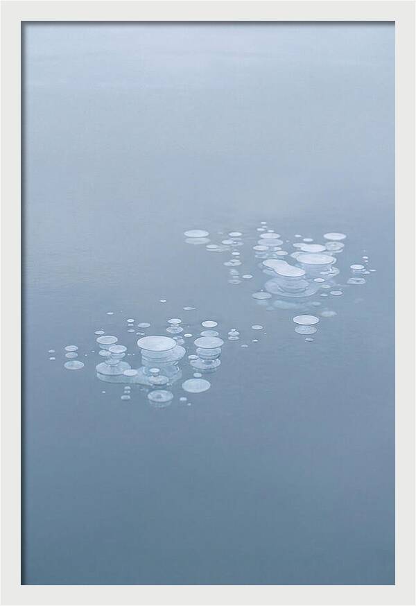 Frozen Bubbles Beneath Ice