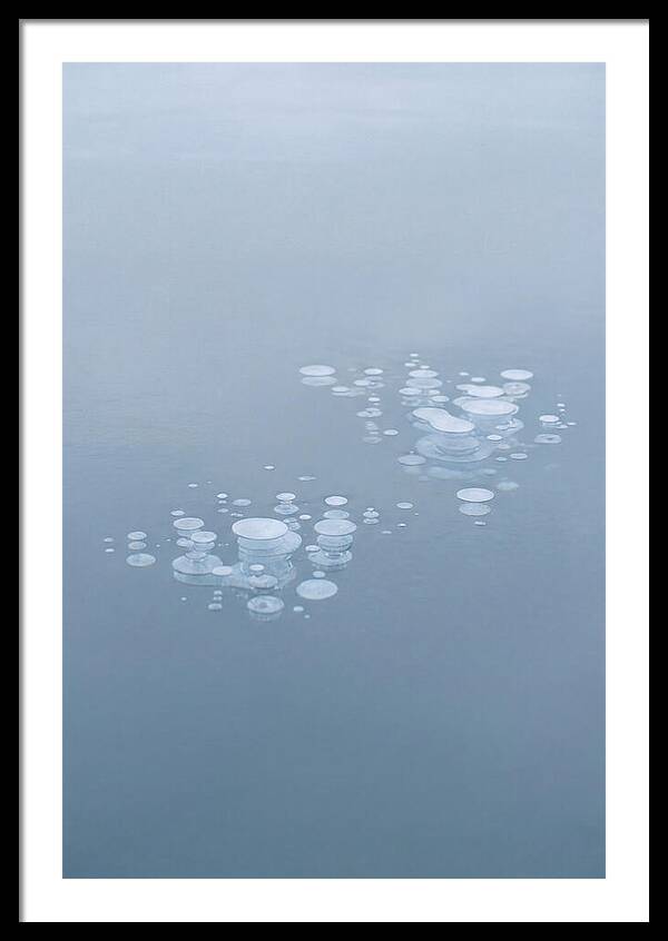 Frozen Bubbles Beneath Ice