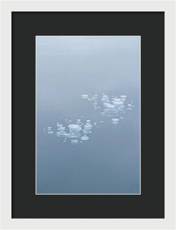 Frozen Bubbles Beneath Ice