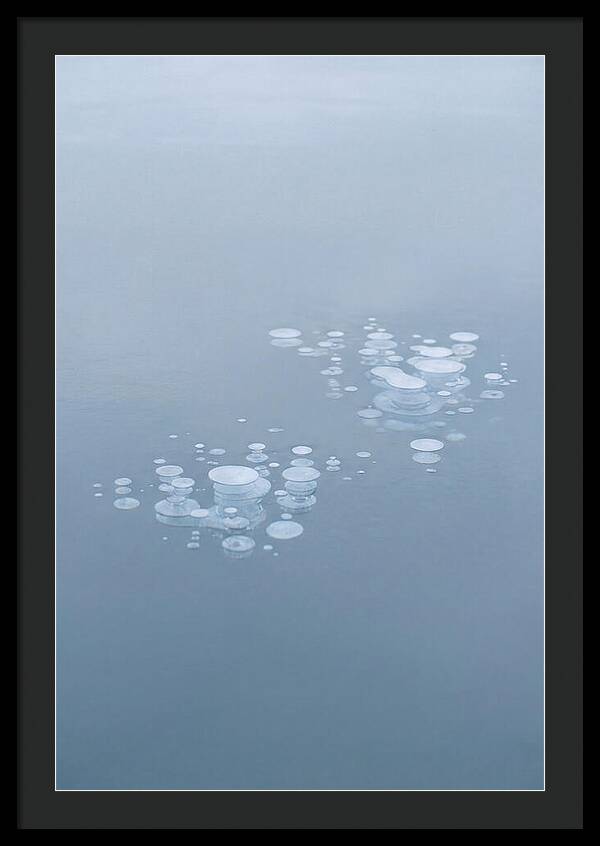 Frozen Bubbles Beneath Ice