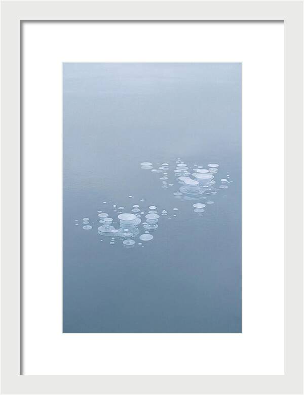 Frozen Bubbles Beneath Ice