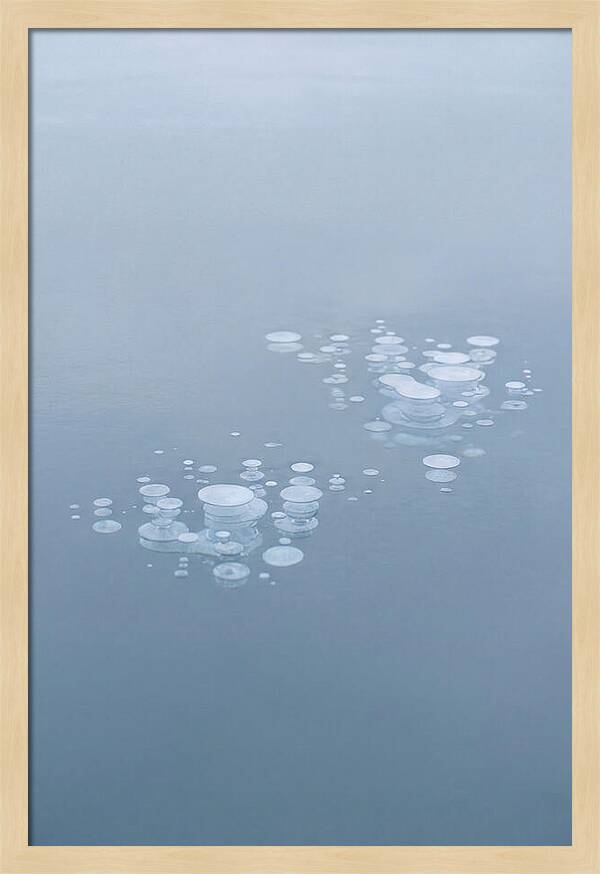 Frozen Bubbles Beneath Ice