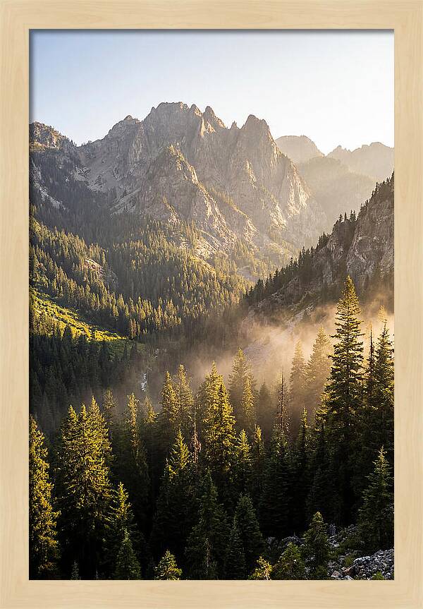 Frozen Head Mountain Serenity
