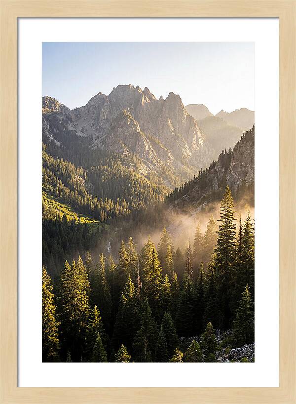 Frozen Head Mountain Serenity