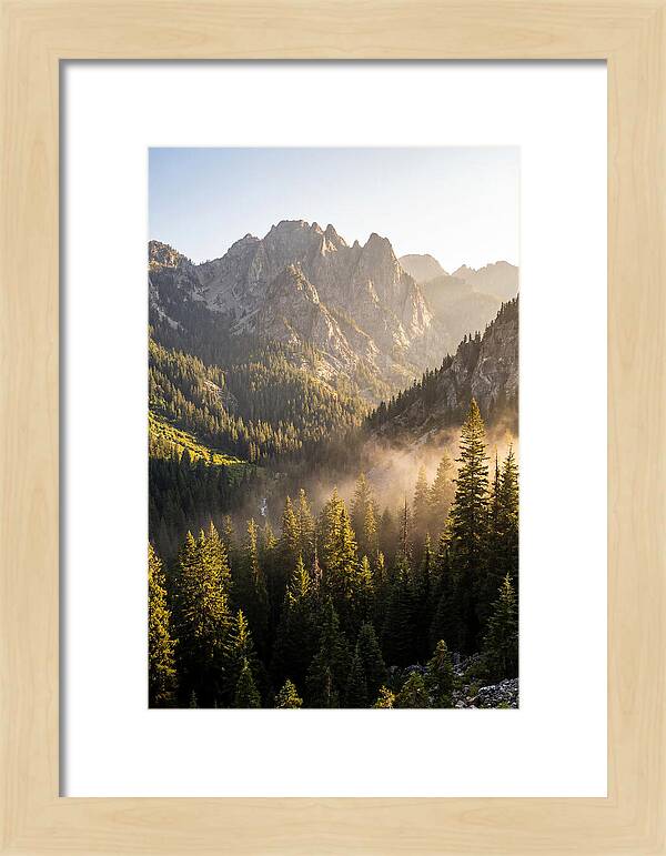 Frozen Head Mountain Serenity