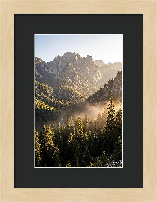 Frozen Head Mountain Serenity