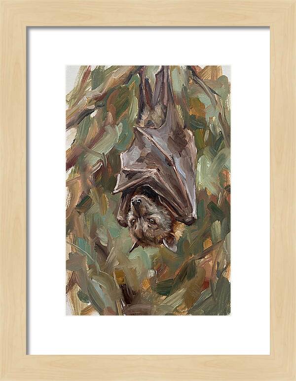 Fruit Bat Hanging Among Leaves