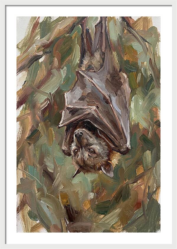 Fruit Bat Hanging Among Leaves