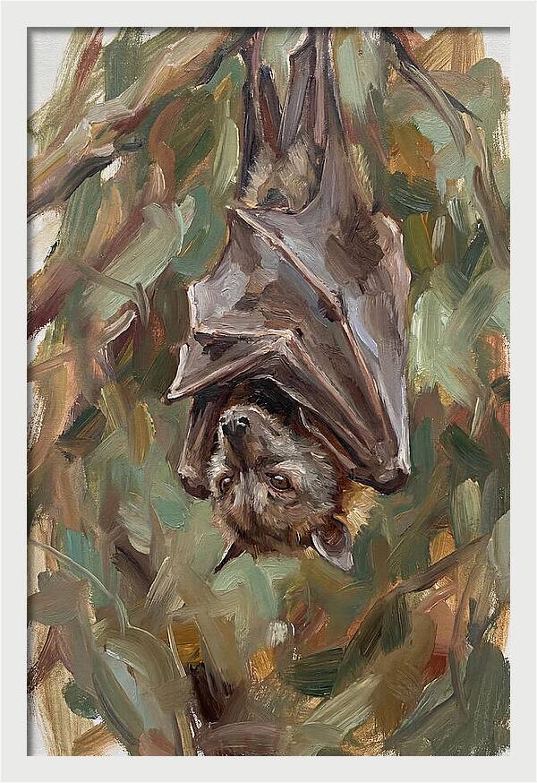 Fruit Bat Hanging Among Leaves