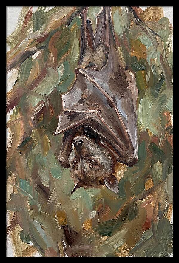 Fruit Bat Hanging Among Leaves