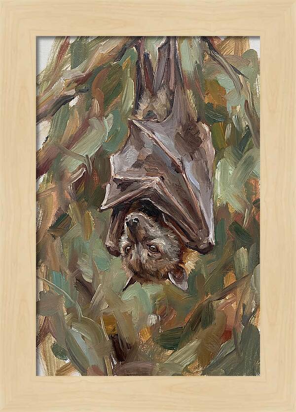 Fruit Bat Hanging Among Leaves