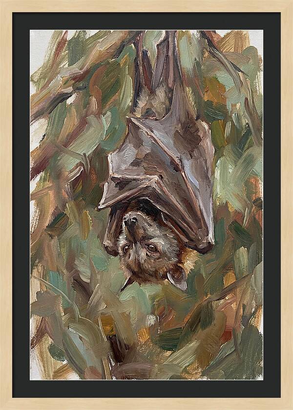 Fruit Bat Hanging Among Leaves
