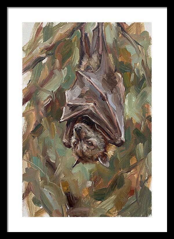 Fruit Bat Hanging Among Leaves