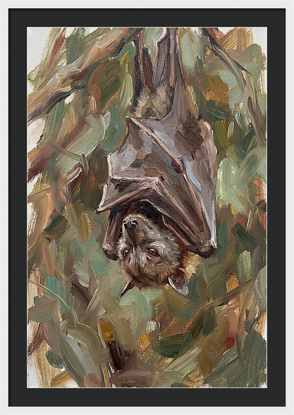 Fruit Bat Hanging Among Leaves