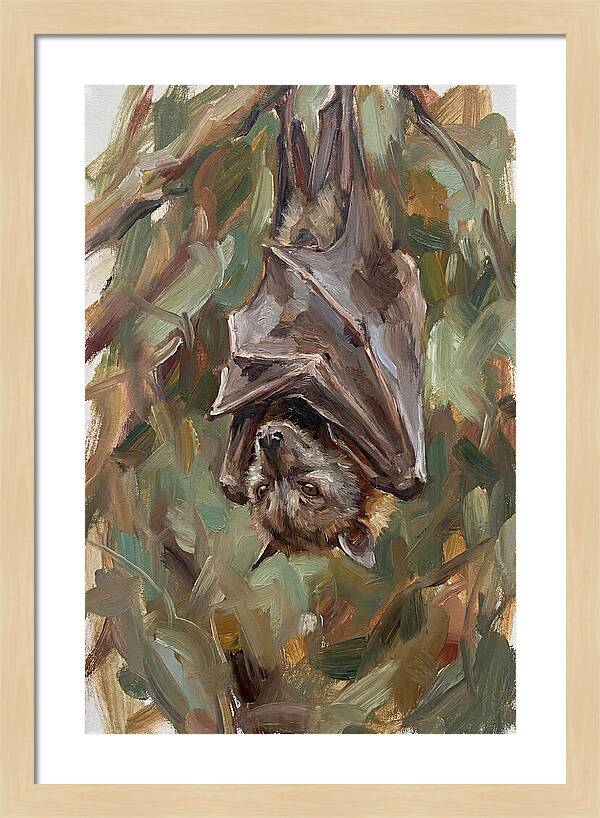 Fruit Bat Hanging Among Leaves