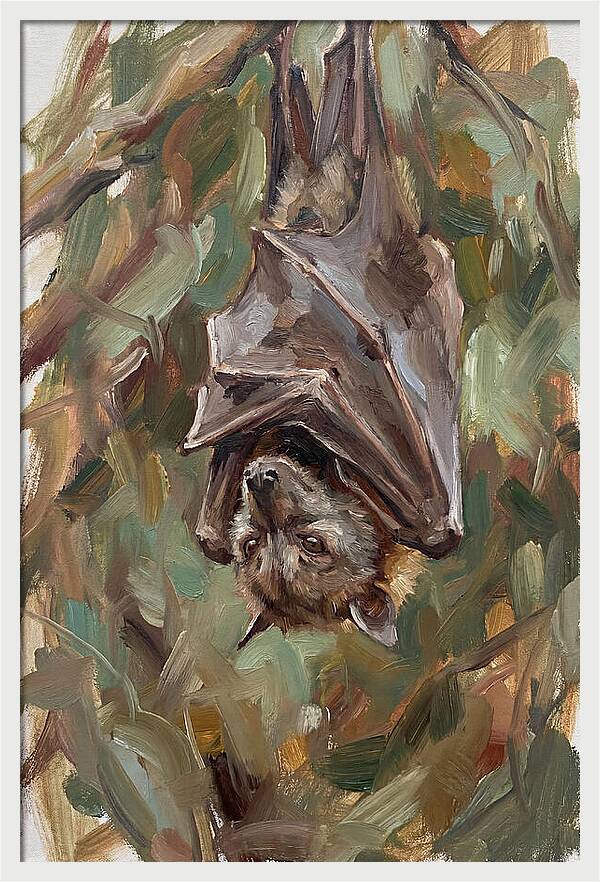 Fruit Bat Hanging Among Leaves