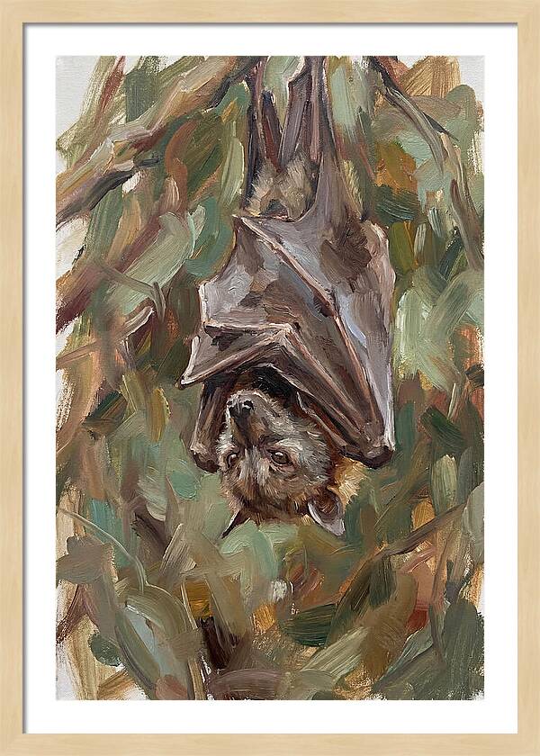 Fruit Bat Hanging Among Leaves