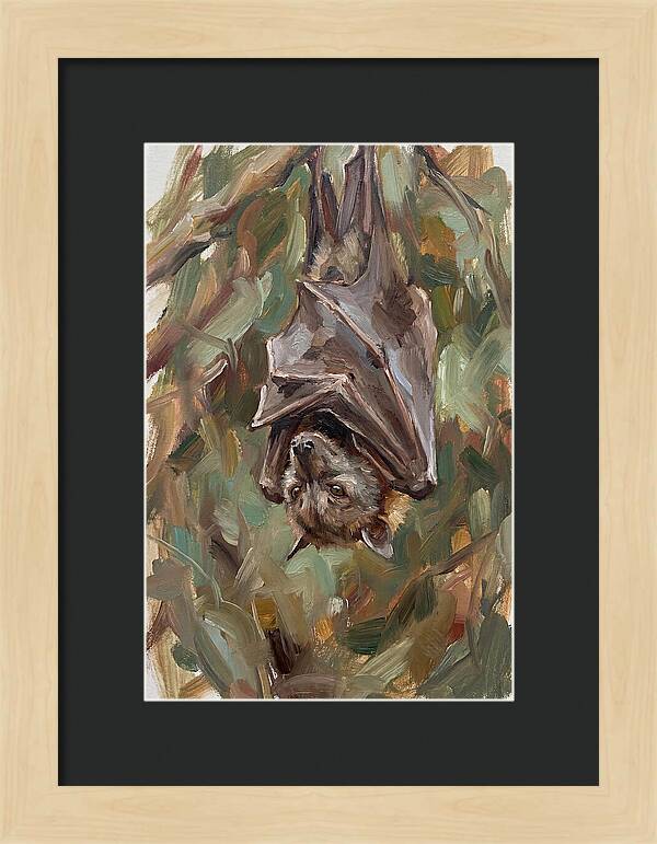 Fruit Bat Hanging Among Leaves