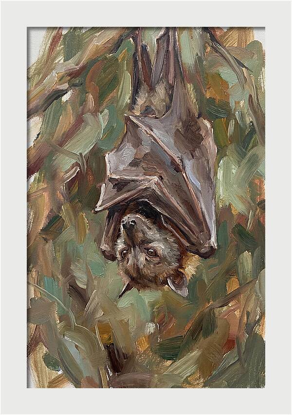 Fruit Bat Hanging Among Leaves