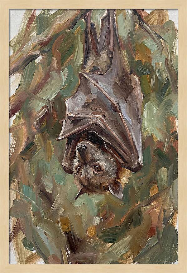 Fruit Bat Hanging Among Leaves