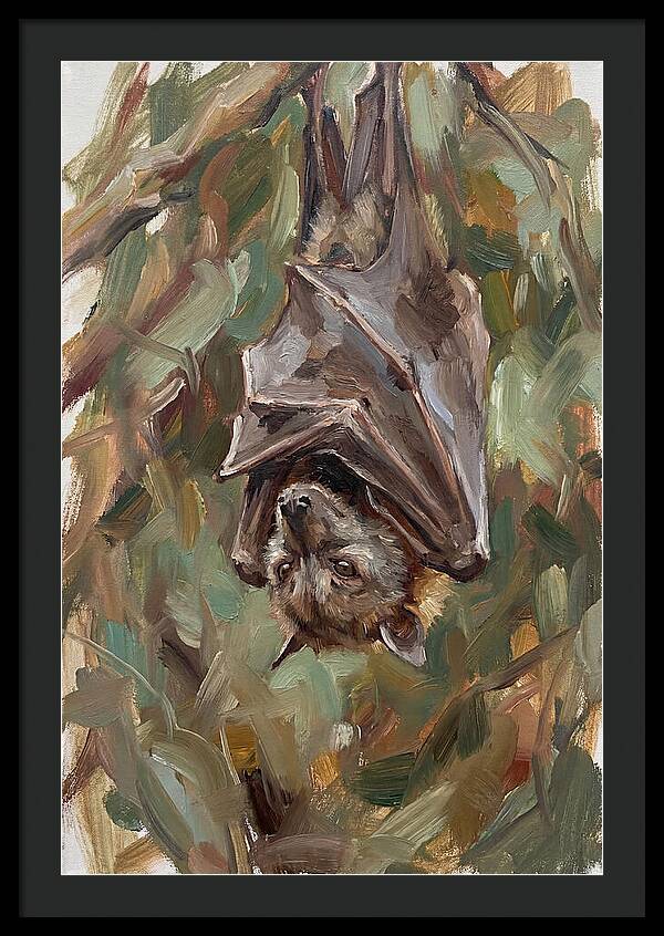 Fruit Bat Hanging Among Leaves