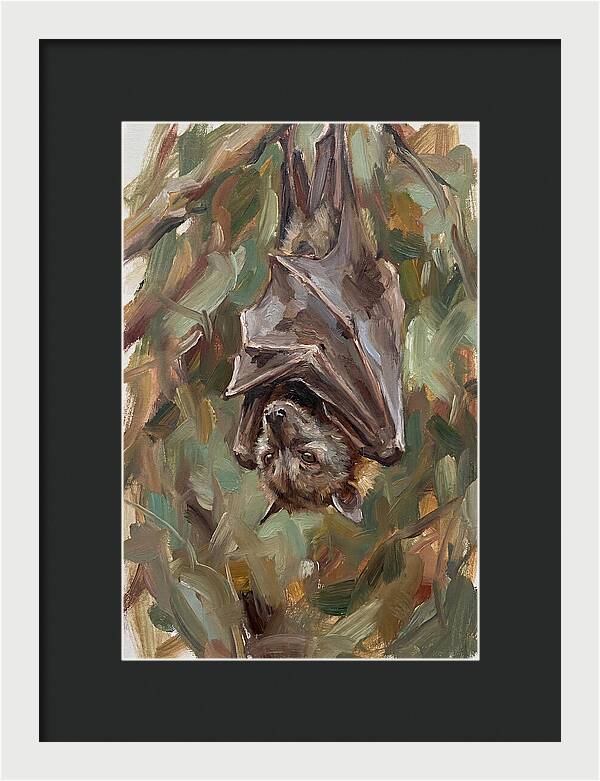 Fruit Bat Hanging Among Leaves