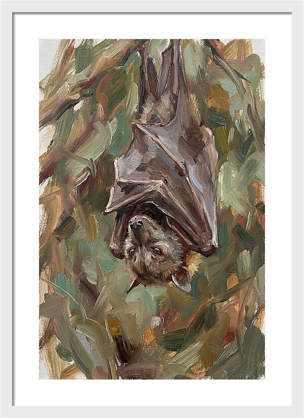 Fruit Bat Hanging Among Leaves