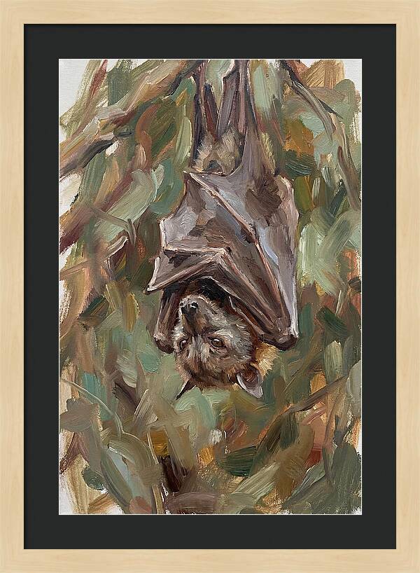 Fruit Bat Hanging Among Leaves