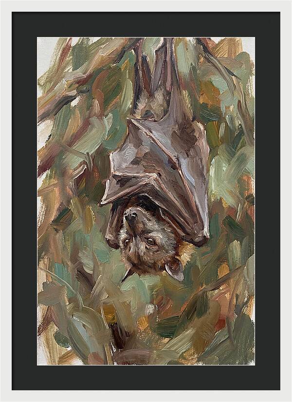 Fruit Bat Hanging Among Leaves