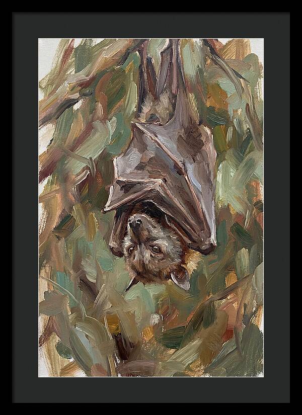 Fruit Bat Hanging Among Leaves