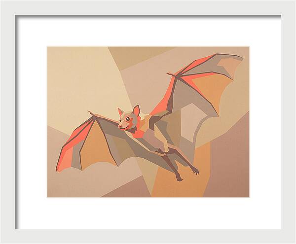 Fruit Bat In Flight