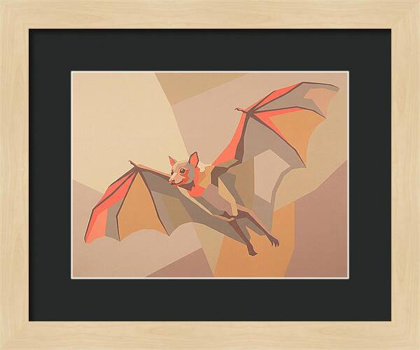 Fruit Bat In Flight