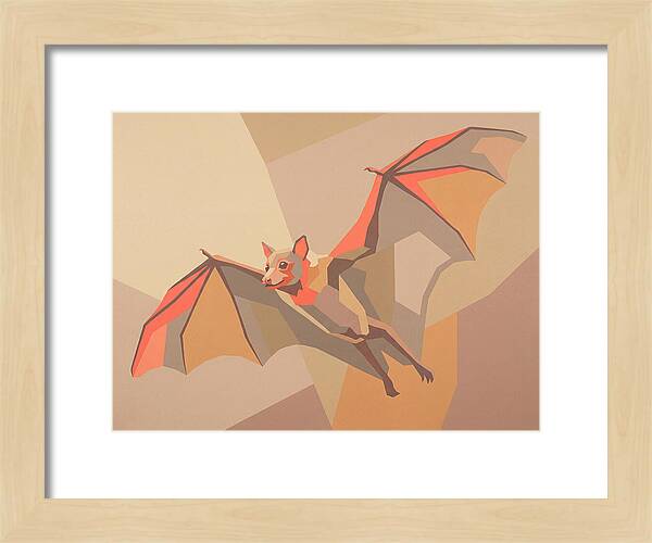 Fruit Bat In Flight