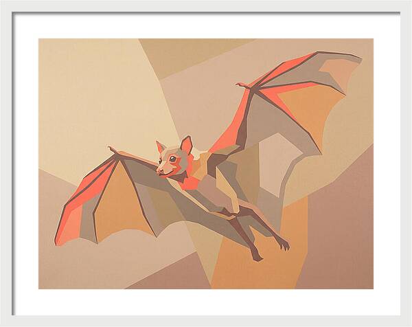 Fruit Bat In Flight