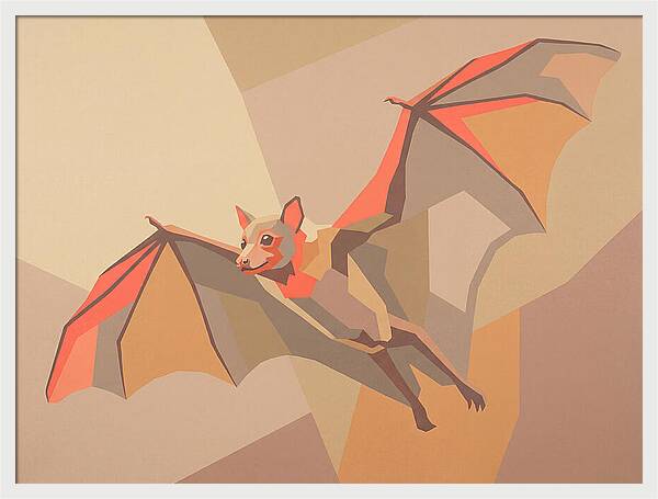 Fruit Bat In Flight