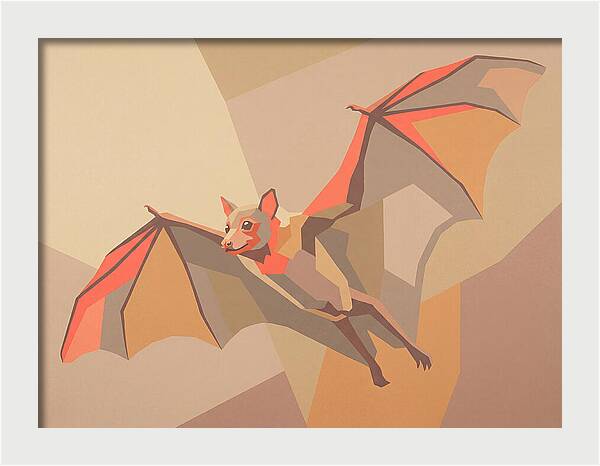 Fruit Bat In Flight
