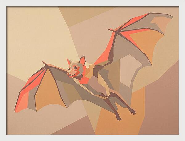 Fruit Bat In Flight