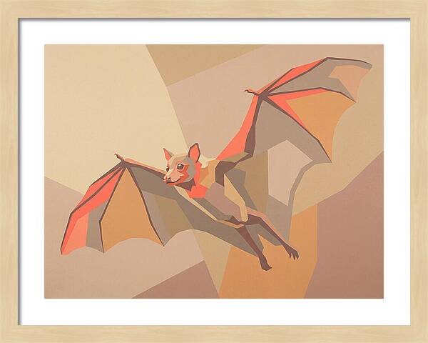 Fruit Bat In Flight