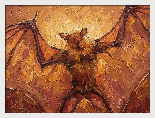 Fruit Bat In Warm Tones