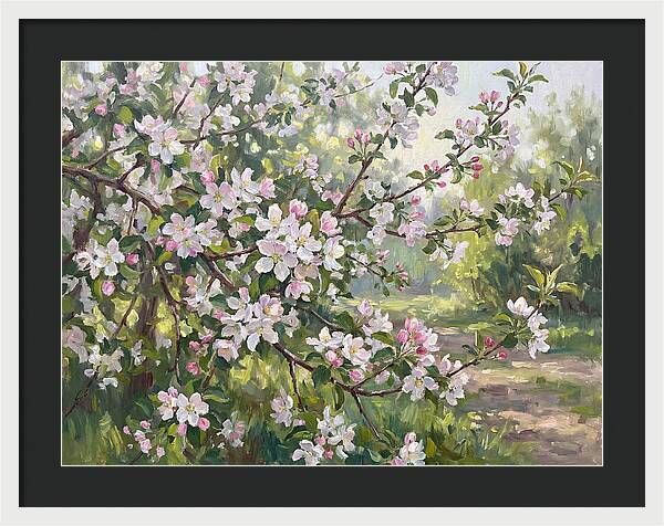 Fruit Blossom Serenity