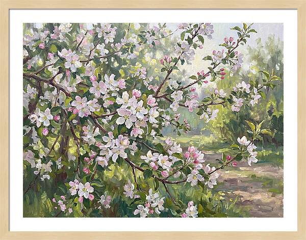 Fruit Blossom Serenity