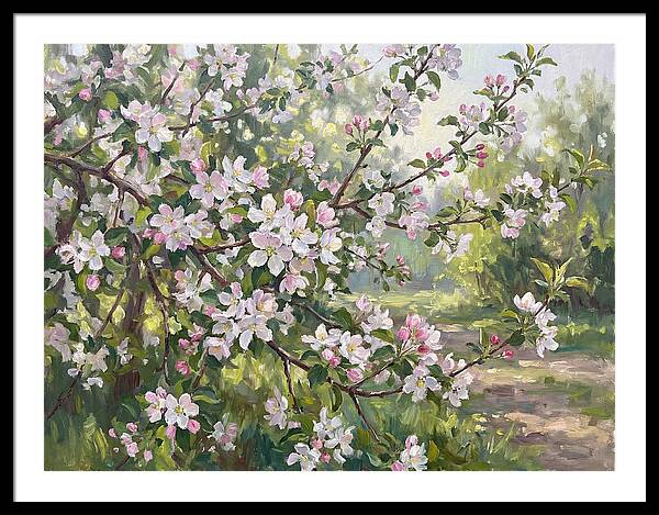 Fruit Blossom Serenity
