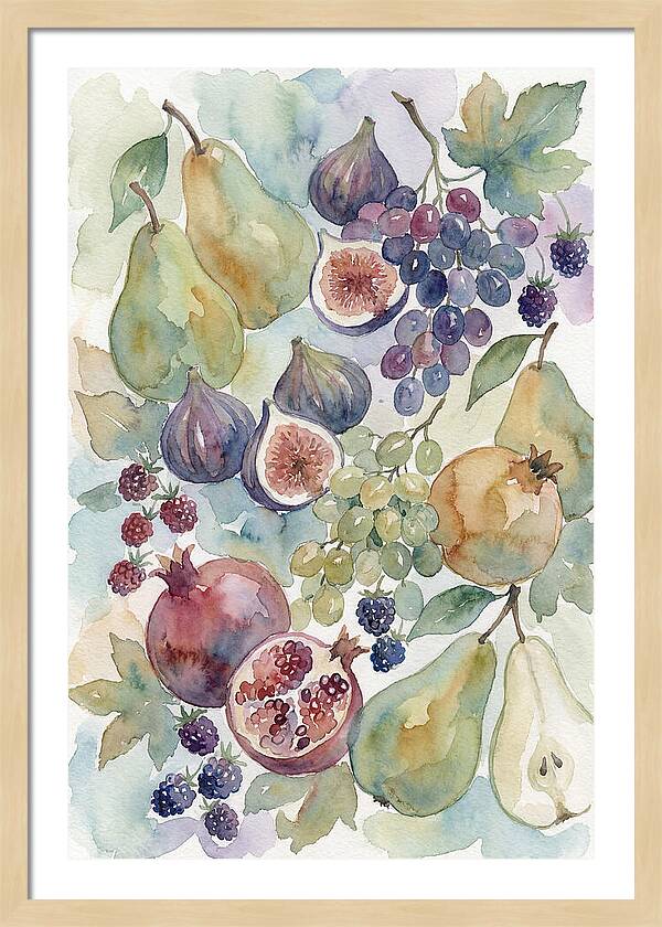 Fruit Composition Watercolor