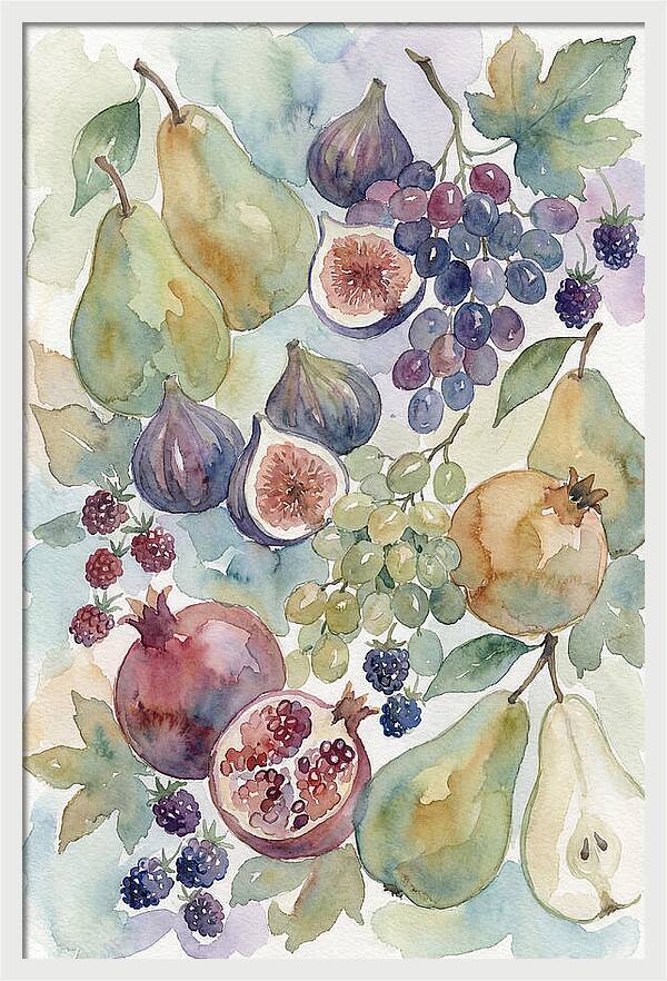 Fruit Composition Watercolor