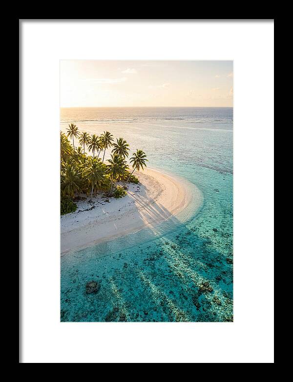Funafuti Conservation Area At Golden Hour