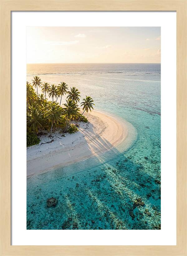 Funafuti Conservation Area At Golden Hour