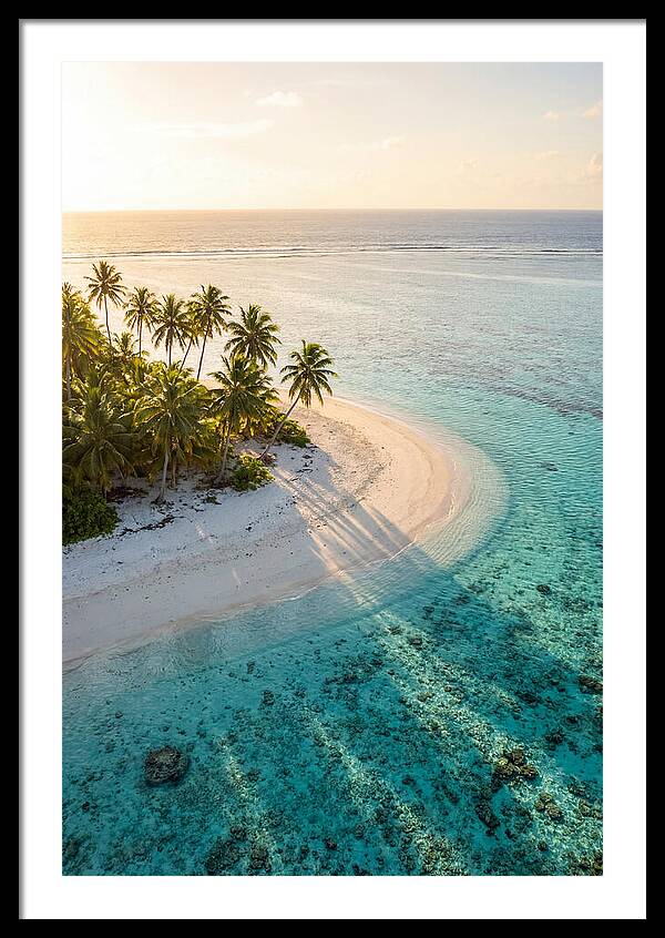 Funafuti Conservation Area At Golden Hour